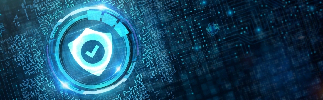 RESPINTA L’ADEGUATEZZA DEL PRIVACY SHIELD